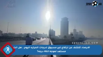 الأرصاد تكشف عن ارتفاع غير مسبوق لدرجات الحرارة اليوم.. هل أنت مستعد لموجة الـ46 درجة؟